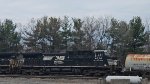 NS 4074